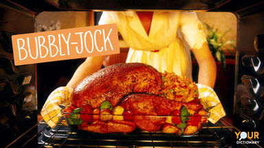 Bubbly Jock - Woman preparing roasted turkey in oven
