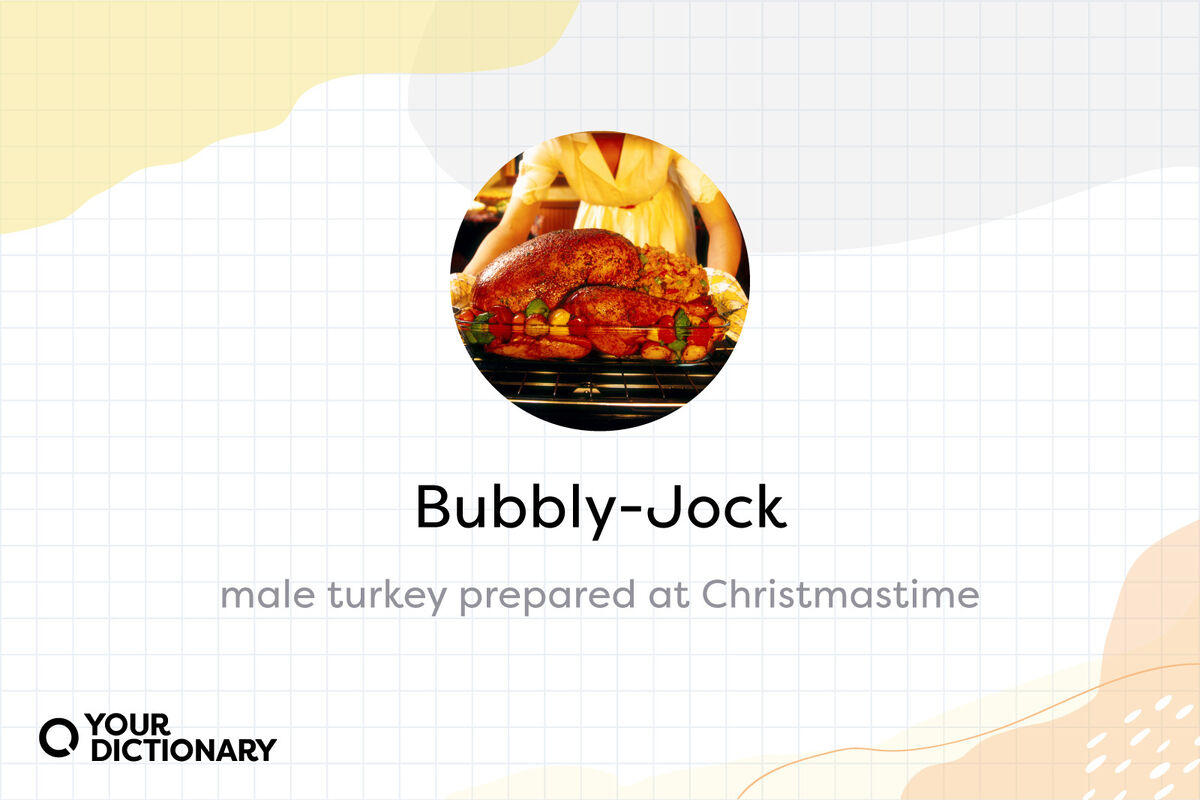 Woman preparing roasted turkey in oven with Bubbly-Jock definition