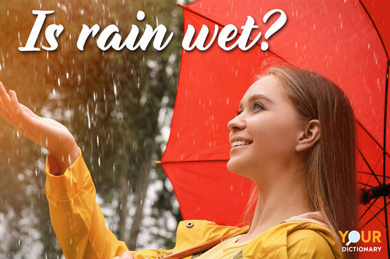 Woman With Umbrella Walking Rain as Rhetorical Question Examples