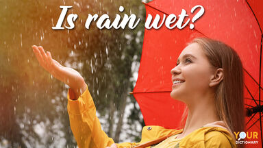 Woman With Umbrella Walking Rain as Rhetorical Question Examples