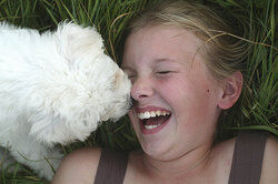 puppy licking girls face