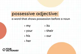 possessive adjective definition from article and example of some possessive adjective words