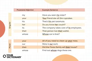 list of possessive adjectives with related example sentences