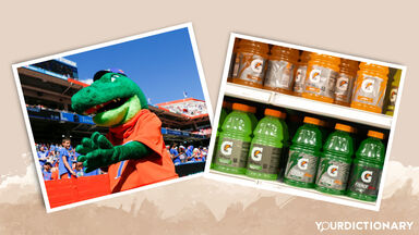 Florida Gators mascot and Gatorade drinks