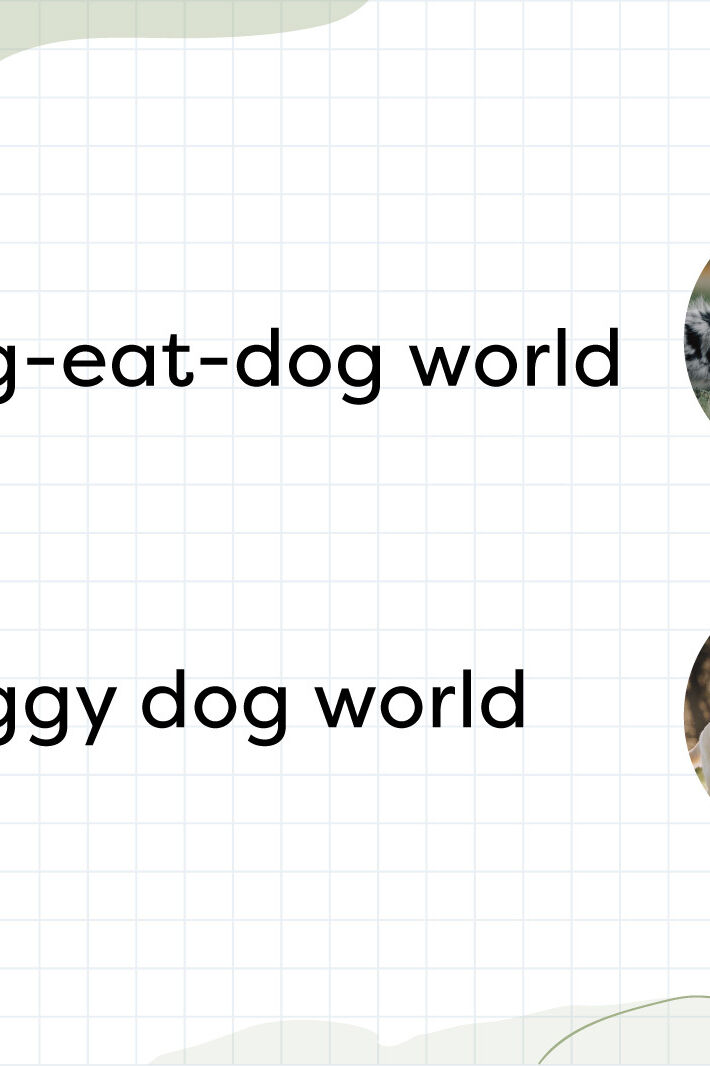 it-s-a-dog-eat-dog-not-doggy-dog-world-but-why-are-dogs-involved