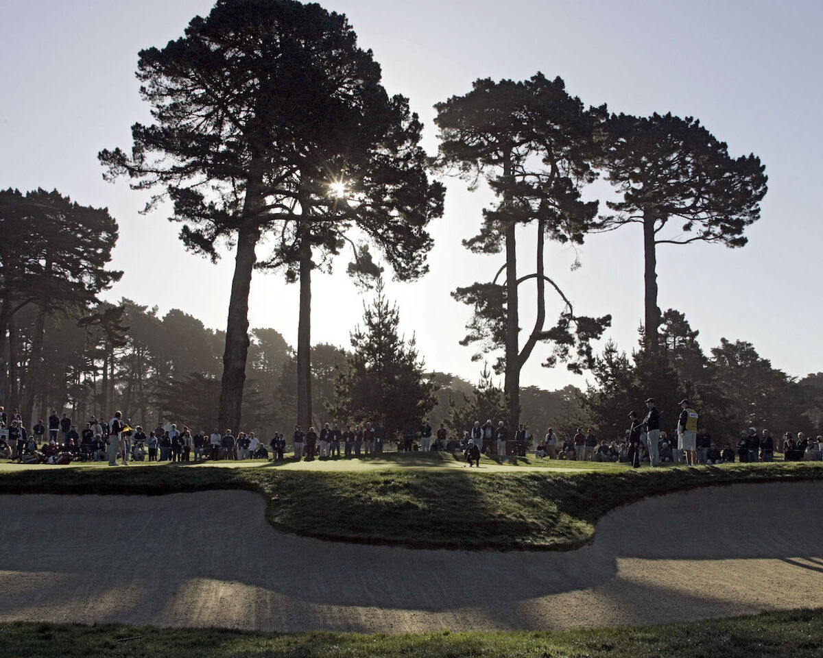 TPC Harding Park