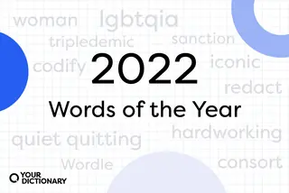 Top performing words taken from the article, around the title "2022 Words of the Year"