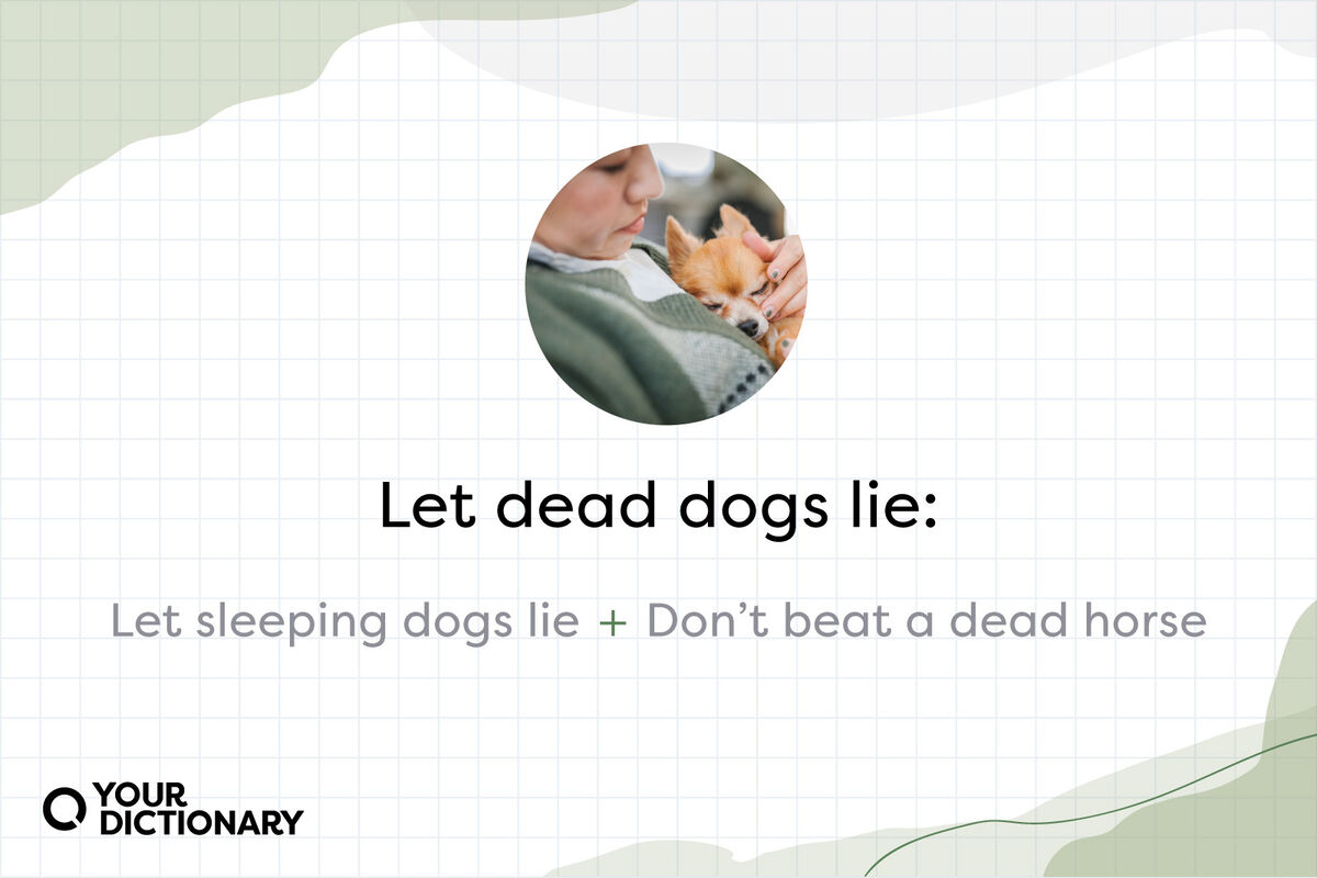 Let Dead Dogs Sleep, and Other Mixed Metaphors | YourDictionary