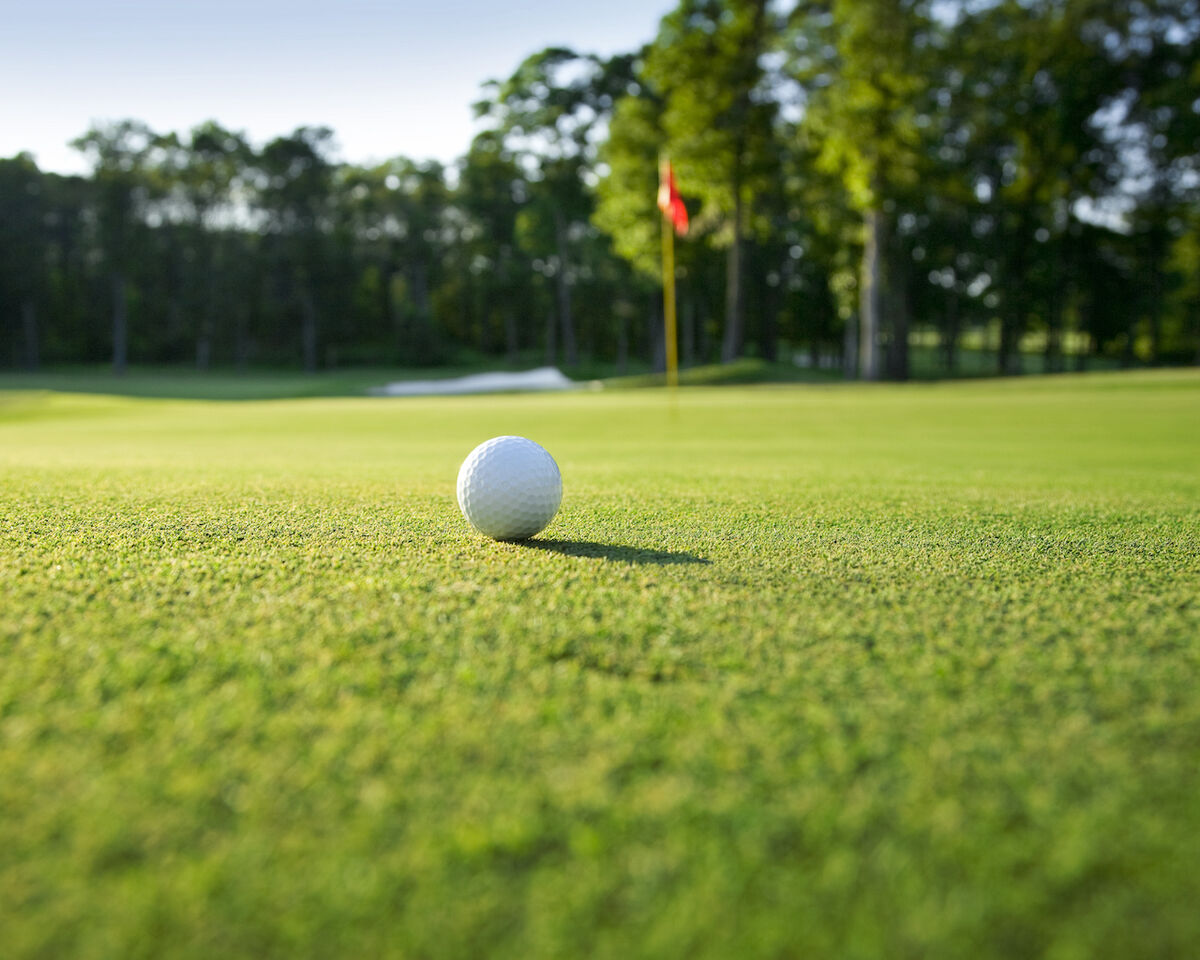 Golf ball and flag on green