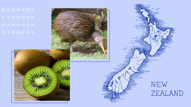 Map of New Zealand Kiwi fruit and Kiwi Bird
