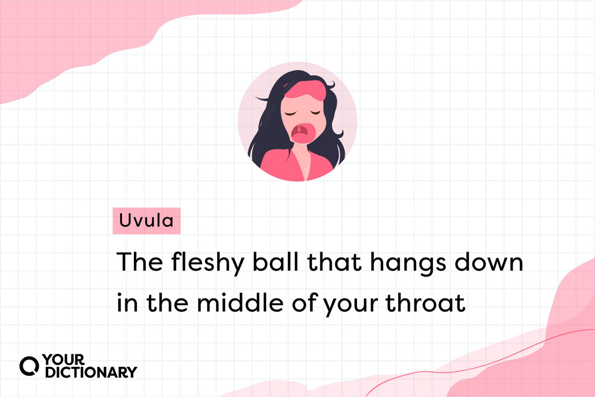 Yawning Woman With Uvula definition