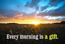 Beautiful sunrise in a cornfield