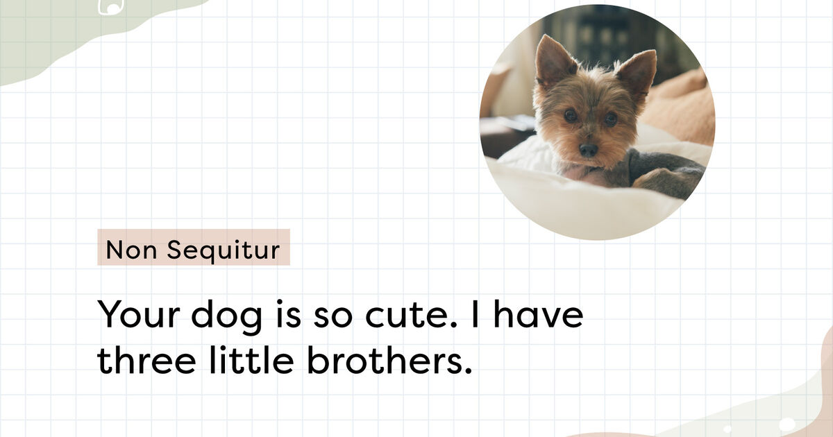 Non Sequitur Examples and Definition YourDictionary