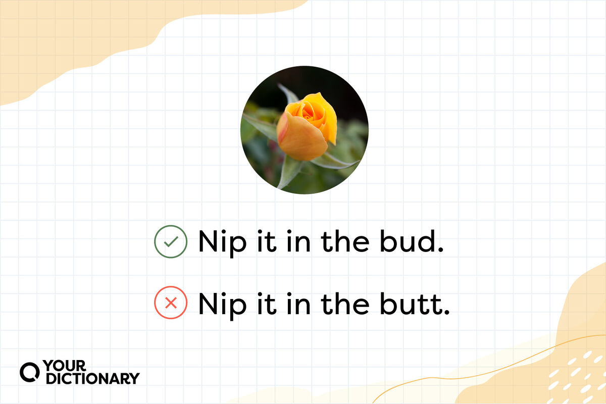 Yellow rosebud with Nip it in the bud sentence