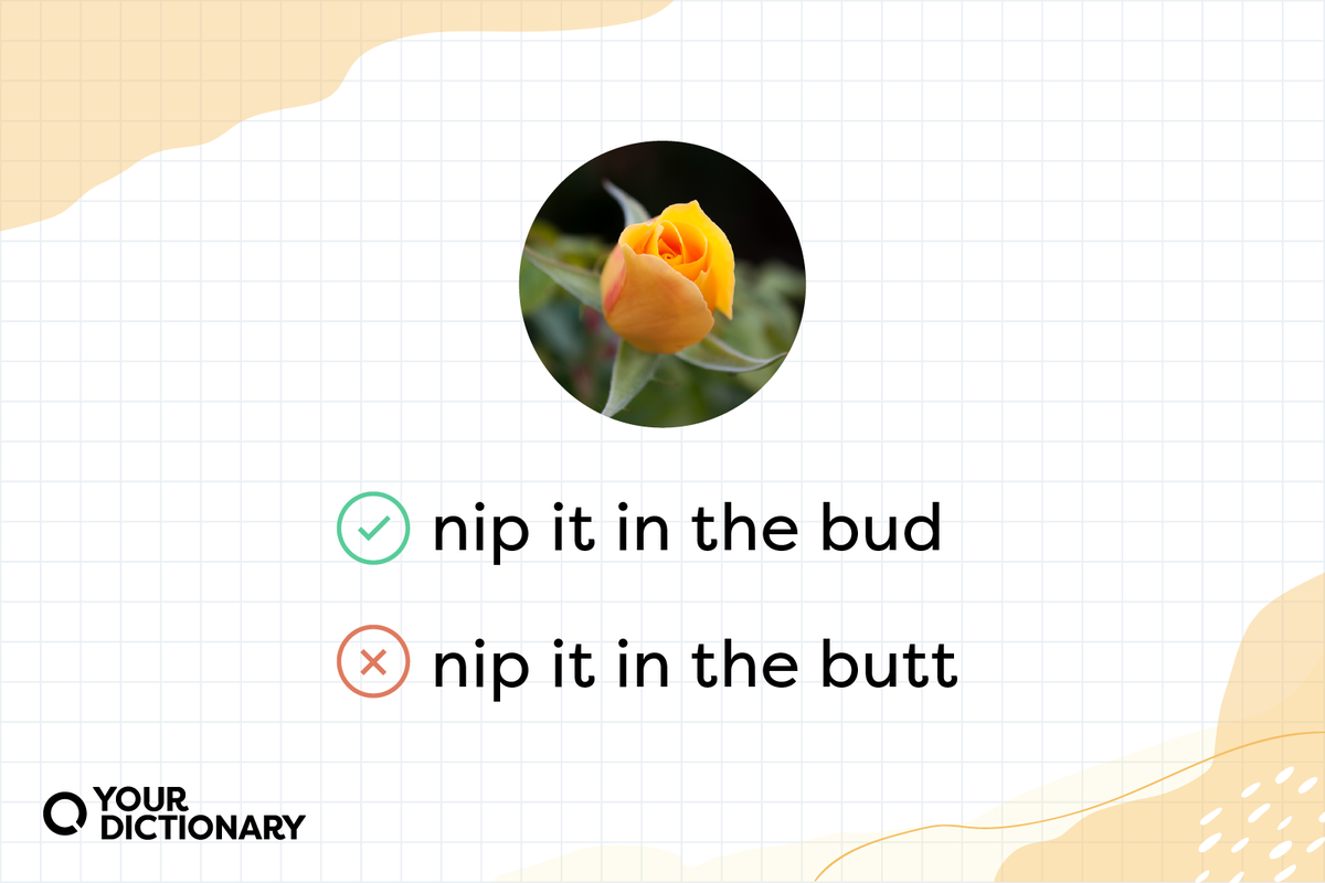 A green checkmark next to the phrase "nip it in the bud" and a red x next to the phrase "nip it in the butt."