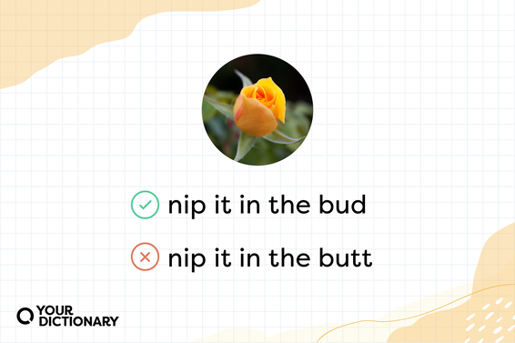 A green checkmark next to the phrase "nip it in the bud" and a red x next to the phrase "nip it in the butt."