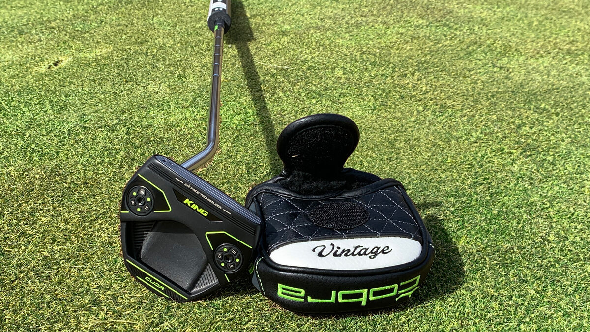 COBRA KING STINGRAY 20 35インチ スティングレイ Vintage Putter