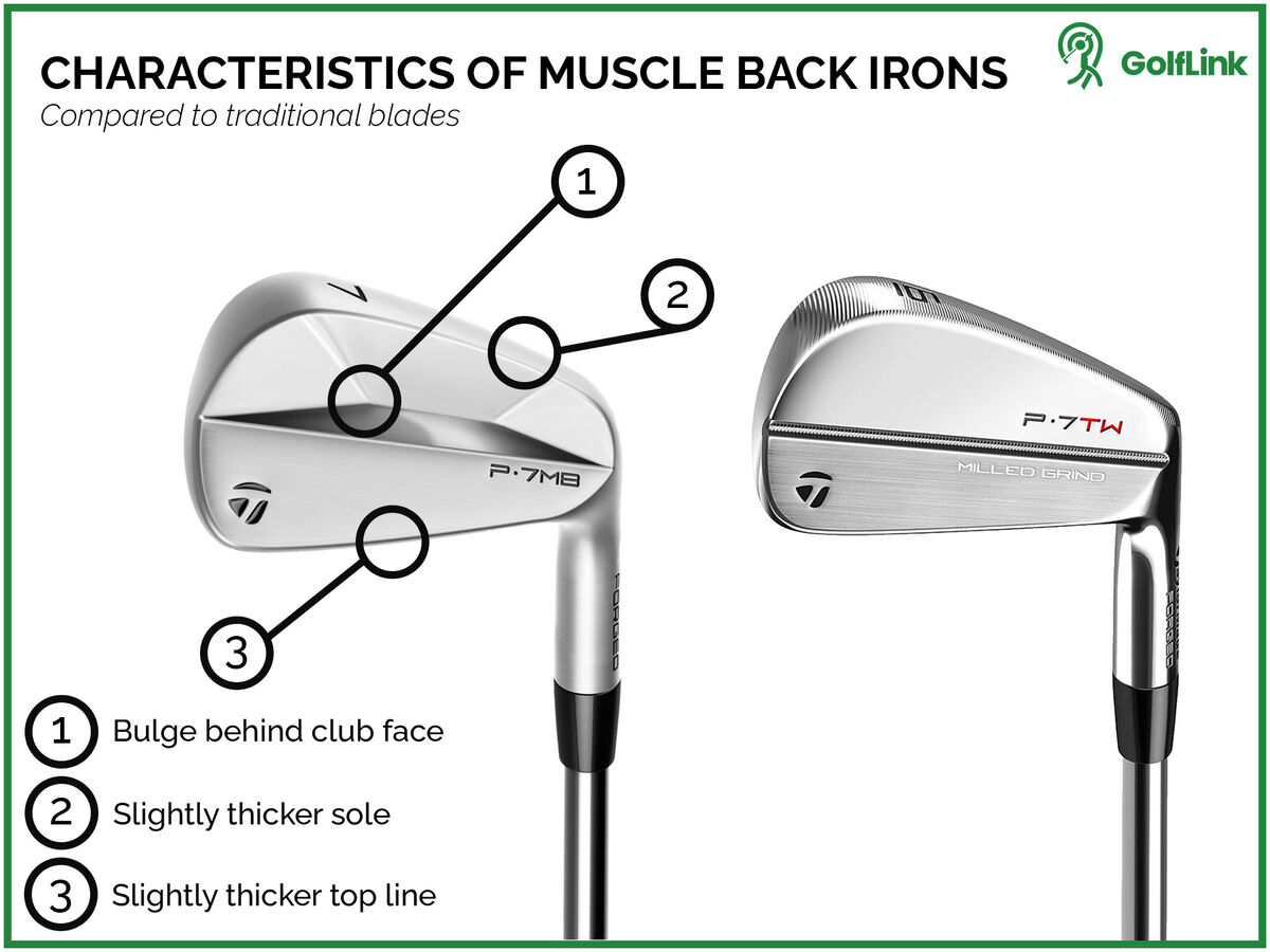 What makes a blade iron a muscle back