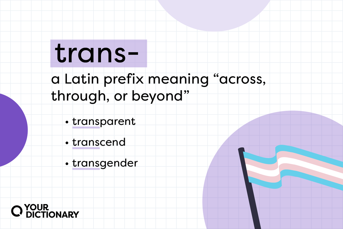 What Does In A Trans Mean