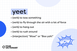 All the definitions and parts of speech for "yeet" from the article.