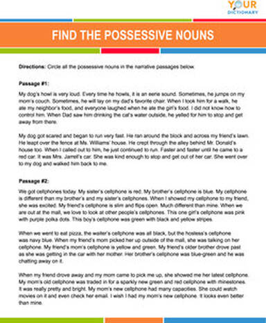 possessive noun quiz