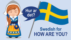 How are you? in Swedish language