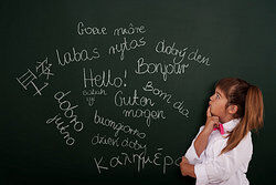 Grammar and Language Courses