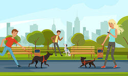 daily routine of people walking dogs in a park