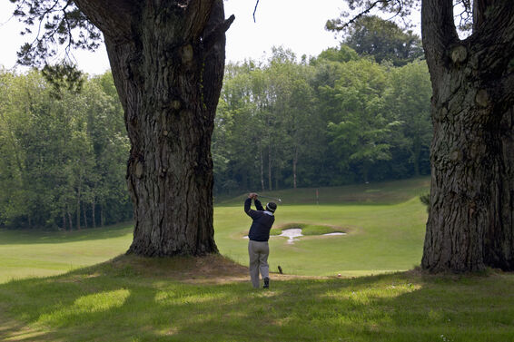 Golfer playing a shot from behind two large trees