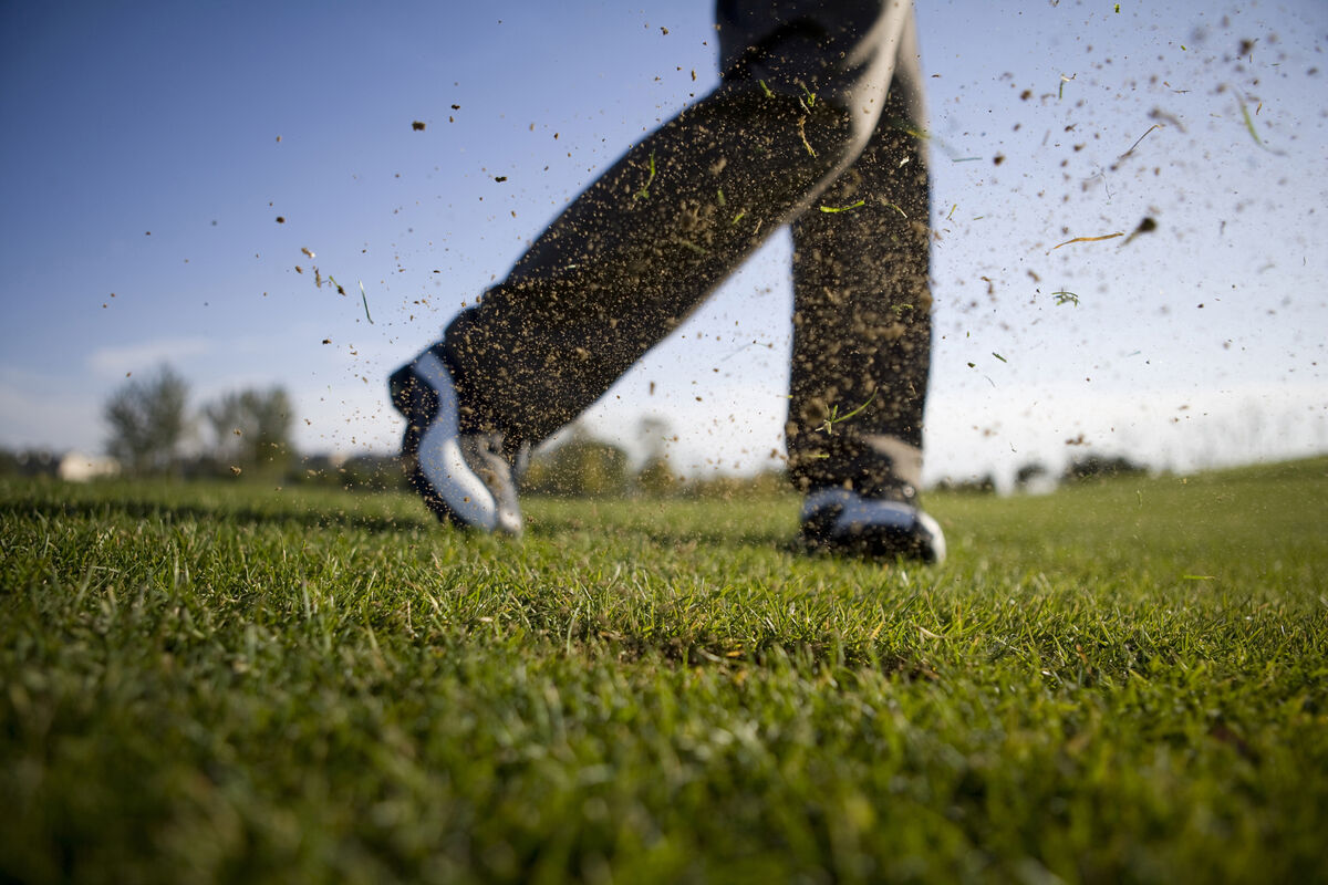 Legs in the golf swing