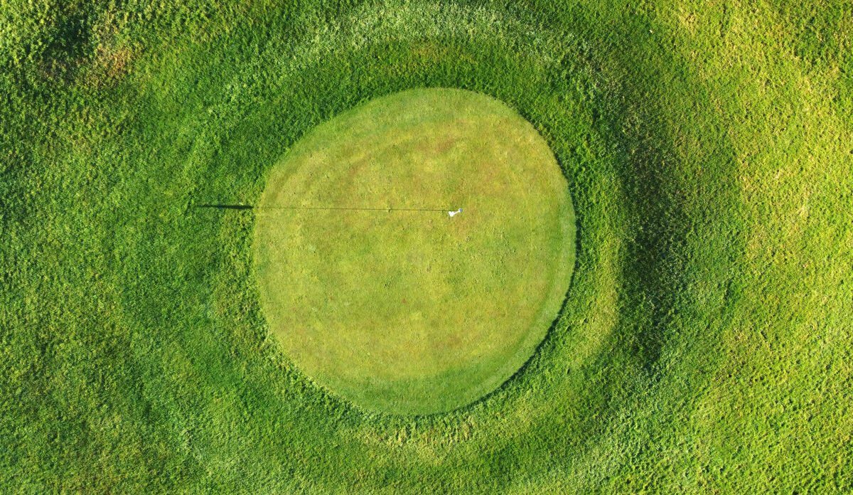 Birds-eye view of a golf green