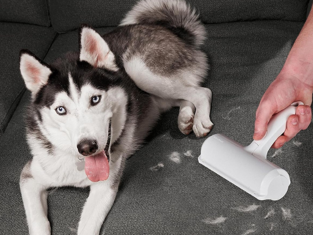 Must have roller for pet owners