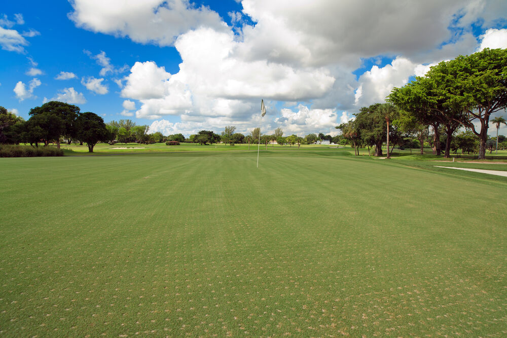 A golf course with recently aerated greens