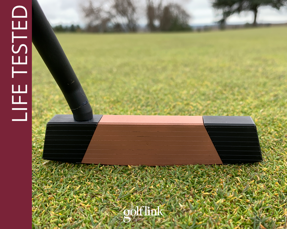 View of the Astral blade putter from the ground