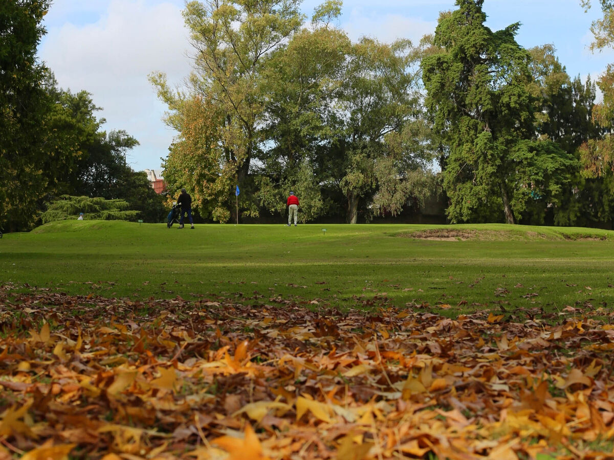 Golf course with a layer of leaves