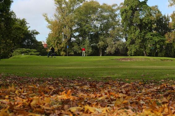 Golf course with a layer of leaves