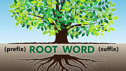 100+ Root Word Definitions and Meanings