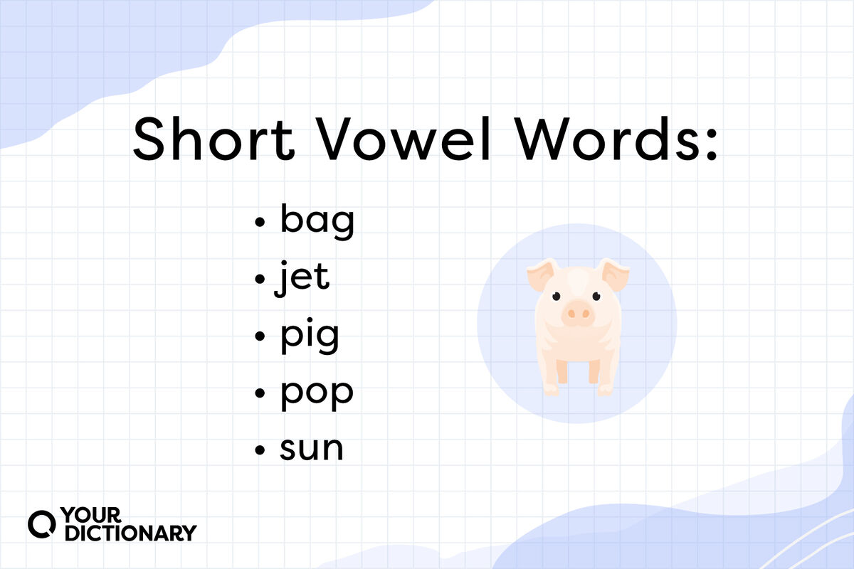 list of five short vowel words from the article