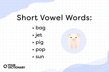 list of five short vowel words from the article