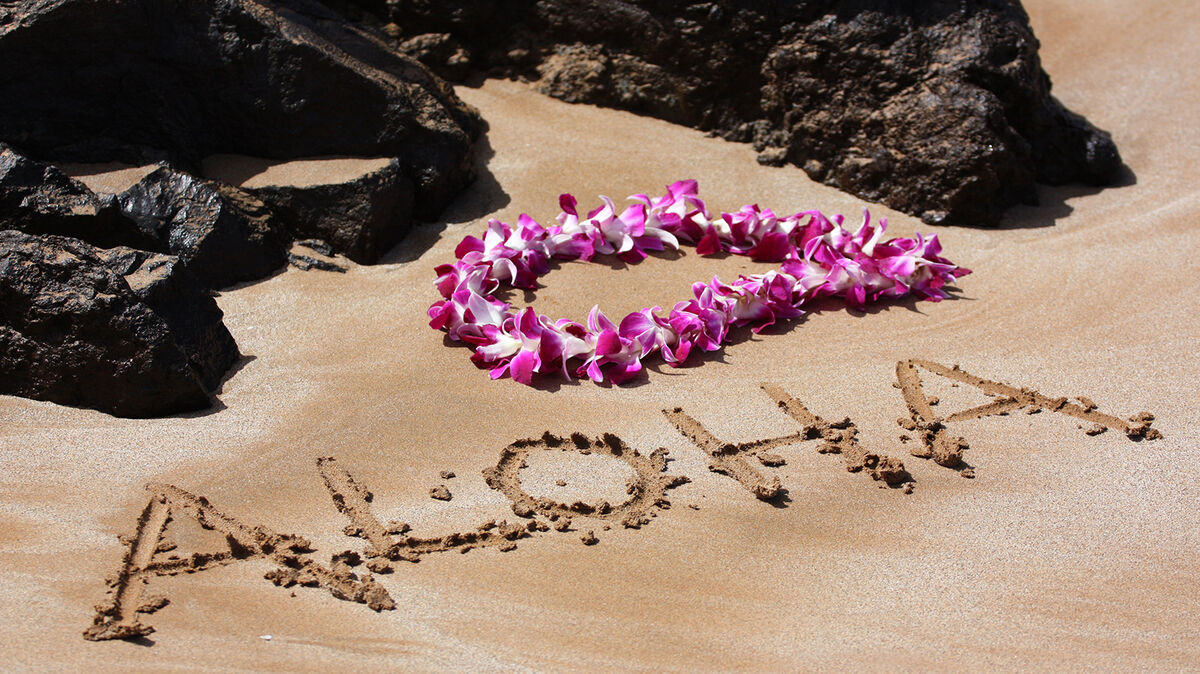 English word with Hawaiian origin aloha