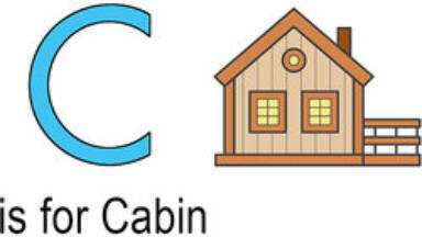 Words That Start With C For Kids