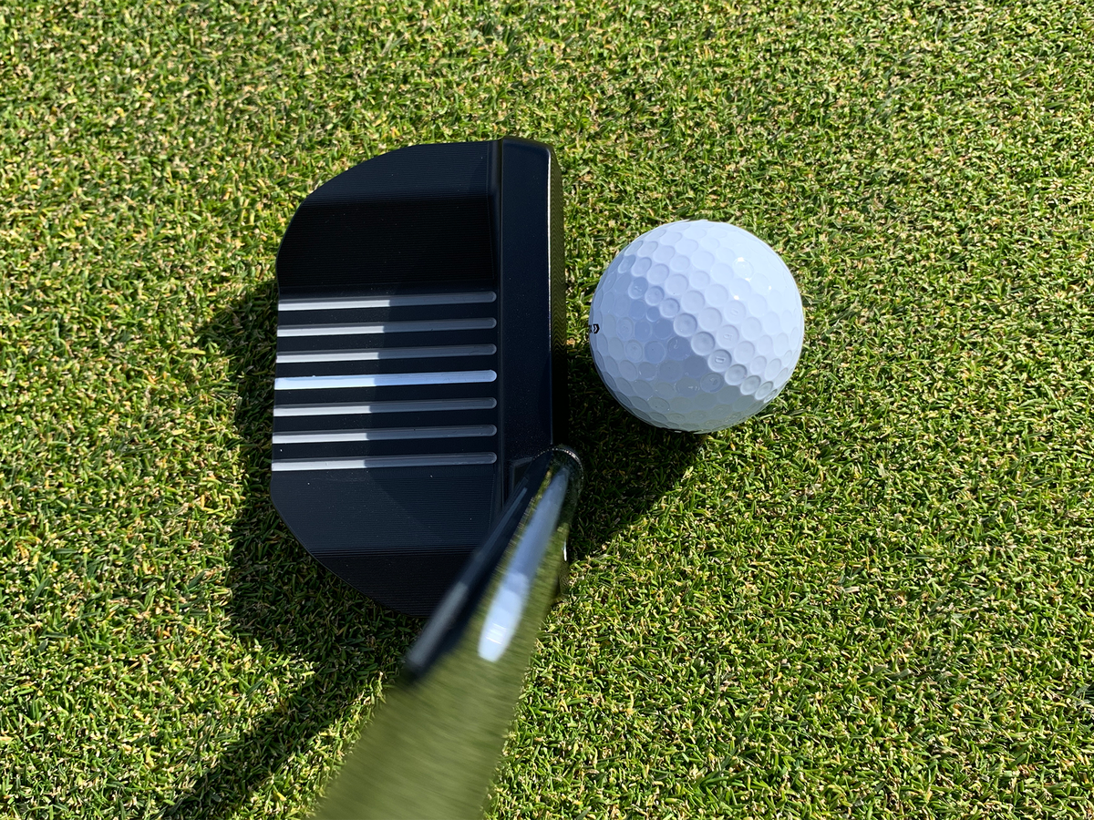 Mallet putter at the address position