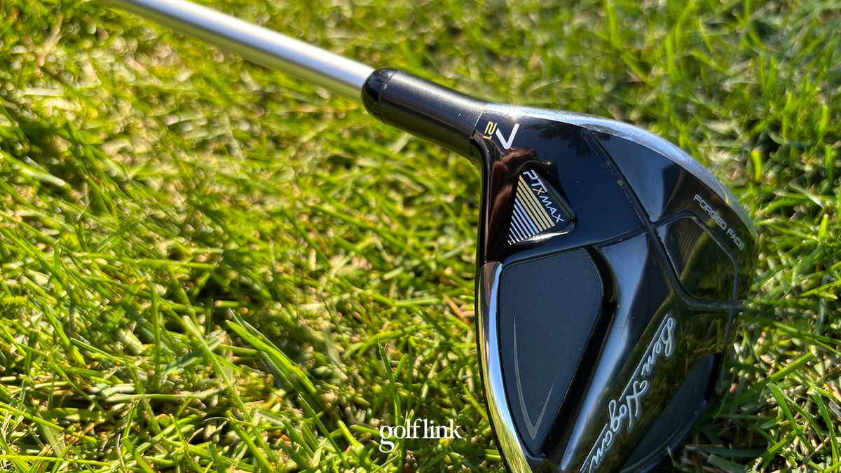 The 21-degree 7-wood I added to my bag