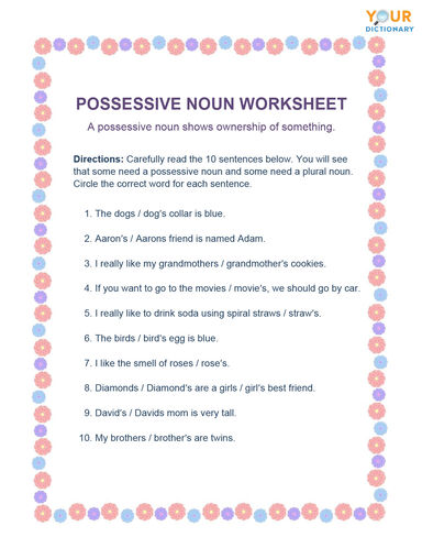 possessive noun worksheet