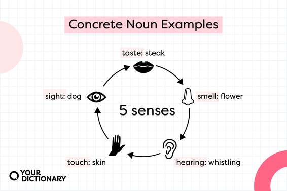 concrete noun examples related to taste, smell, hearing, touch, and sight from the article