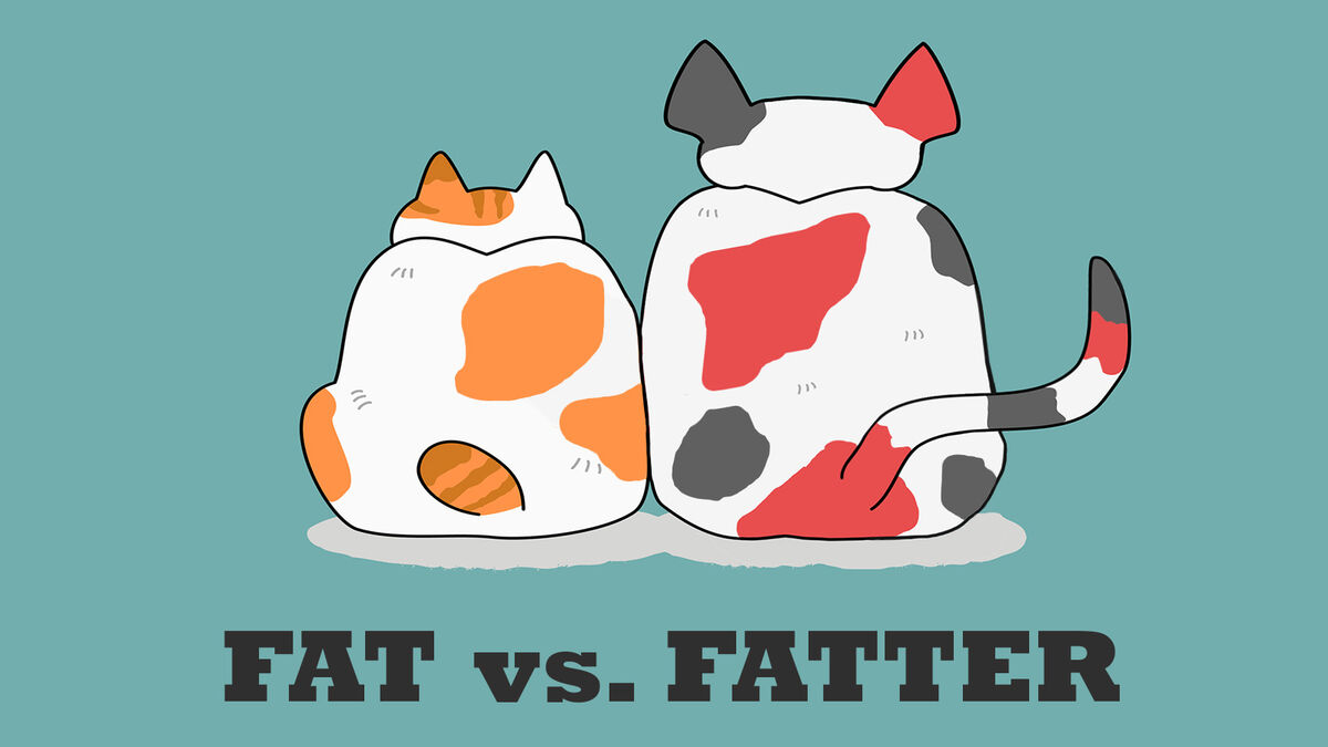 fat vs. fatter comparative adjective