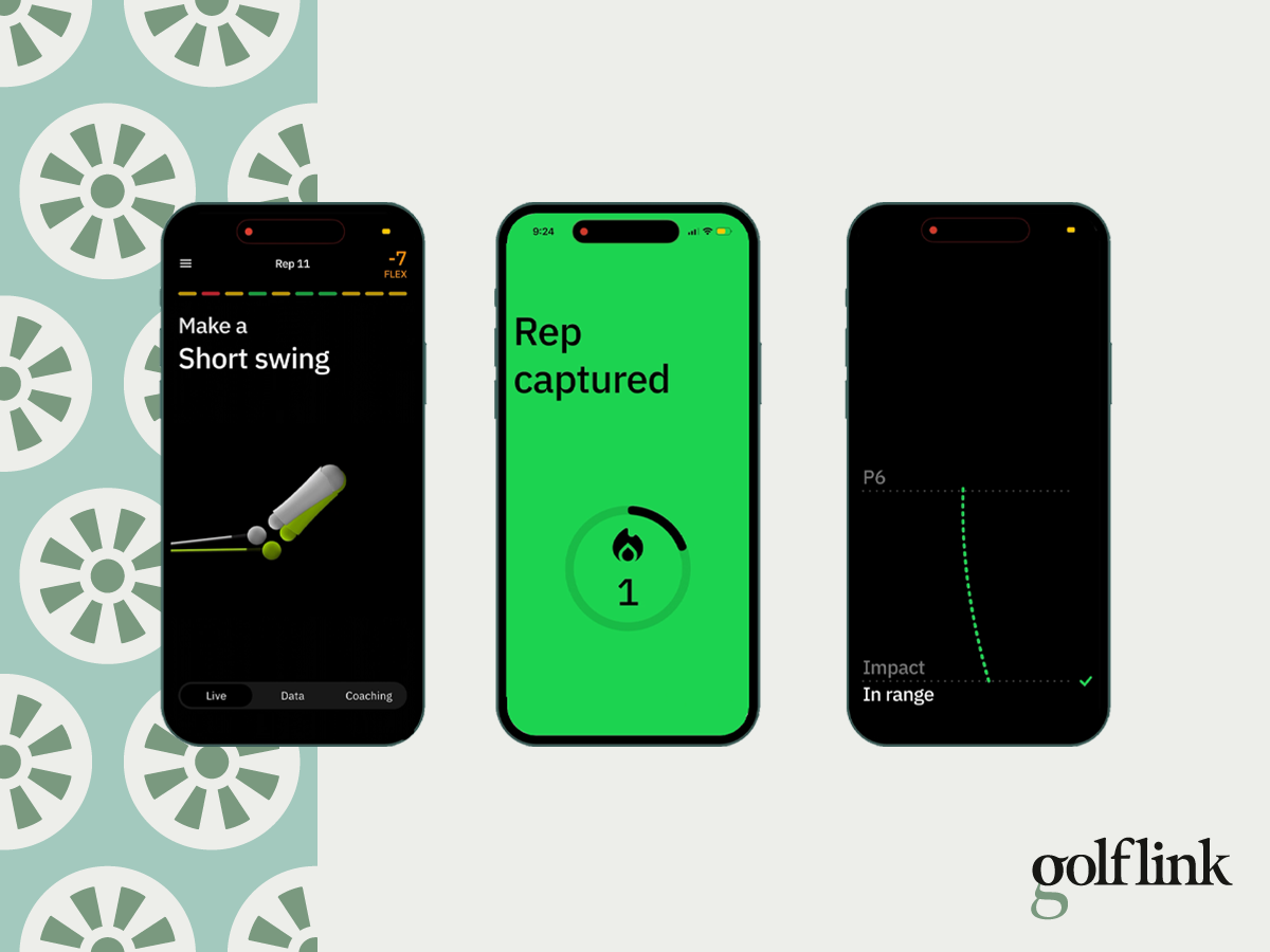 HackMotion app during GolfLink testing