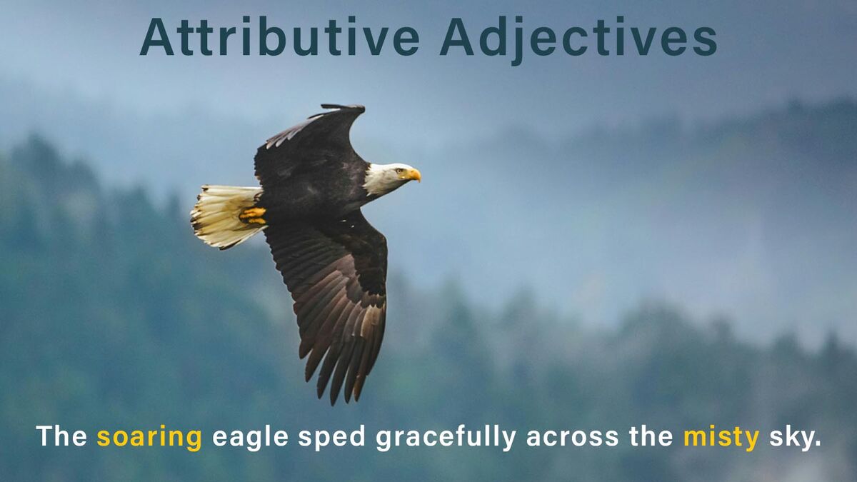soaring eagle attributive adjectives
