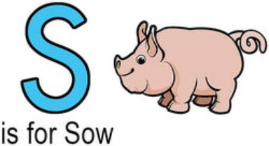 Words That Start With S For Kids