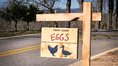 compound adjective word free-range in signage